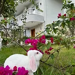 Bodini Himarë